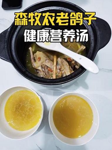 森牧农散养老鸽子,炖汤健康又营养 老鸽子 老鸽子汤 地方特色美食 家乡美食