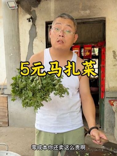 5元马扎菜 炊哥不加戏 马扎菜 凉菜 乡村味道 家常菜