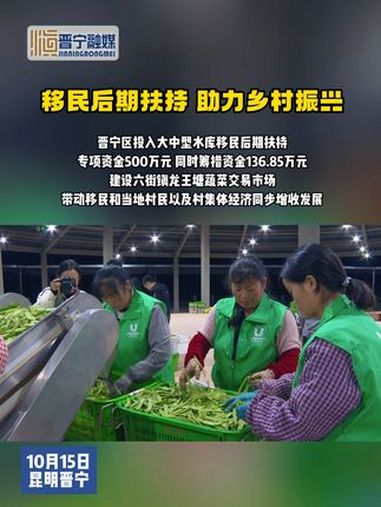 移民后期扶持!六街龙王塘蔬菜交易市场带动群众增收致富!生态 六街 增收致富