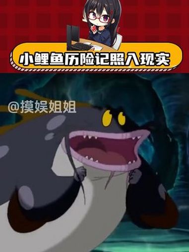 音乐一放,这鱼的身份证掉出来了 小鲤鱼历险记 童年动画