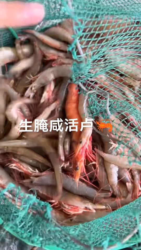 #生腌本港活卢虾