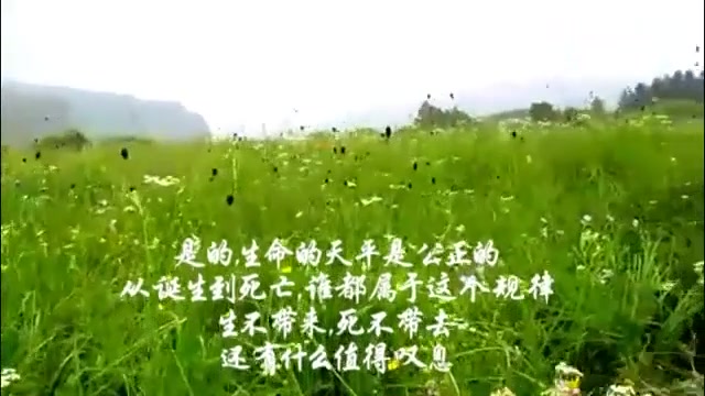 [图]小草的心(作者:许德明;朗读:代伐钟)