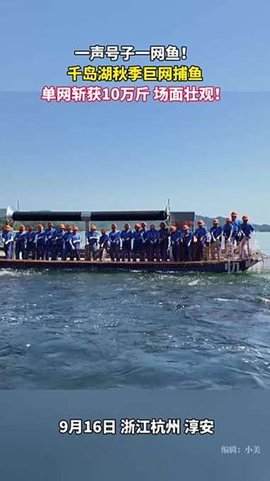 “中华一绝” 千岛湖巨网捕鱼震撼上演,捕获有机鱼达10万斤!杭州(来源:淳安融媒、杭州市农