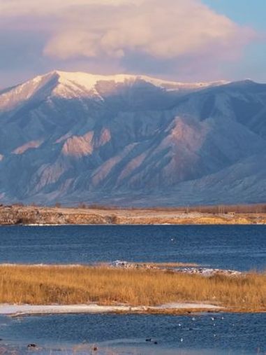 终于在大同拍到了二级保护动物熊猫鸭 “熊猫鸭”学名斑头秋沙鸭,因其雄鸟体羽以黑白色为主,眼