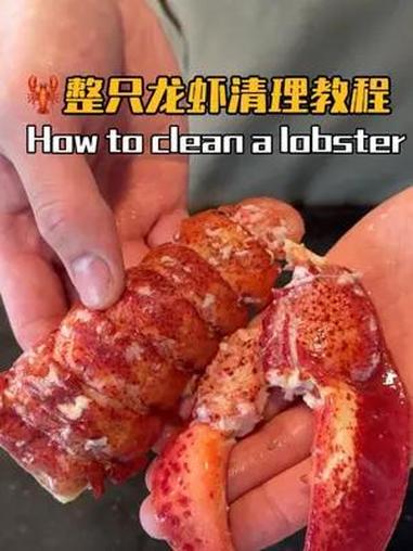 今天来教给大家如何处理和清理鲜活的龙虾!加拿大是龙虾出口大国,产自东海岸的龙虾肉质紧实而且