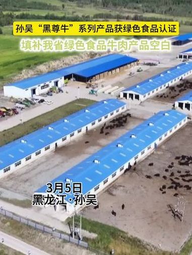 近日,黑尊牛(孙吴县)肉业有限公司生产的安格斯牛肉系列产品,成功通过中国绿色食品发展中心认