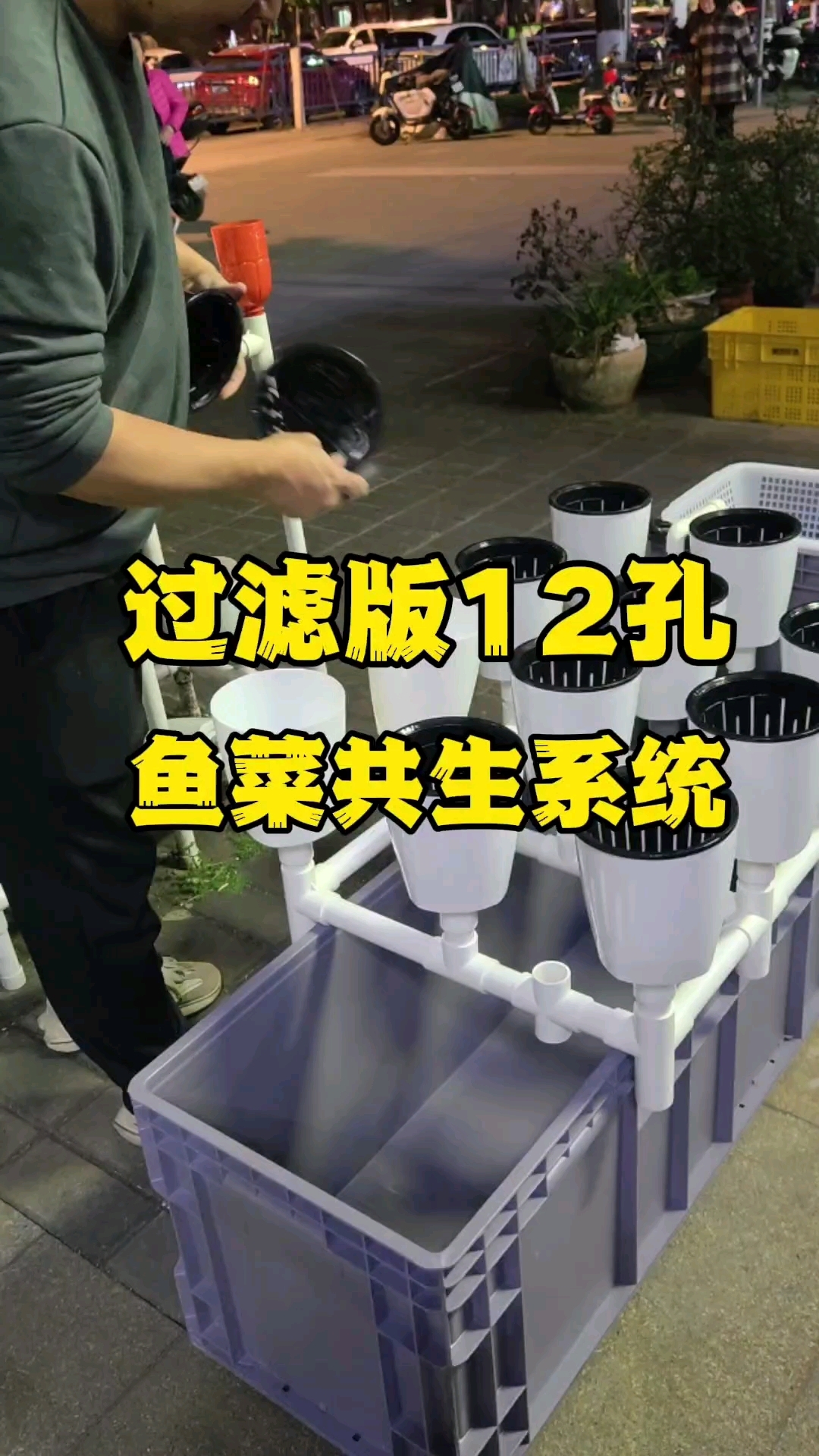 养鱼种菜一个就能搞定#鱼菜共生#家庭农场#阳台种菜#智慧
