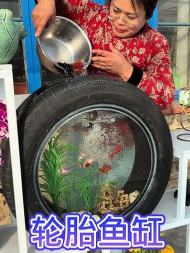 轮胎鱼缸 记录真实生活 我的乡村生活 乡村守护人