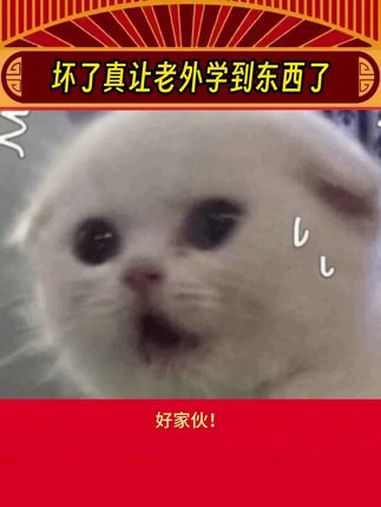 奶茶:喝了一辈子茶又怎样?还不是要臣服于我!上到老下到幼,拿捏!通通拿捏!外国小伙被成都的