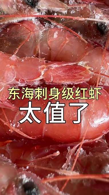 舟山刺身级红虾,好鲜甜!海鲜原产地 红虾 刺身美食