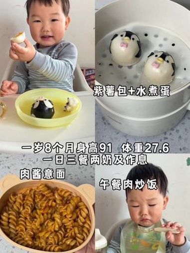 一岁8个月宝宝一日三餐作息安排,身高91,体重27.6,每天3顿饭2顿奶,早餐紫薯包+水煮