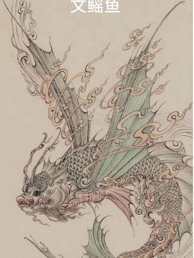 文鳐鱼分享 扶鳐之上!纹身刺青 纹身手稿 大连纹身