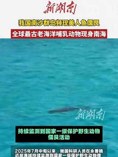 我国南沙群岛频现美人鱼儒艮，全球最古老海洋哺乳动物现身南海 海洋生物 美人鱼 南海 儒艮