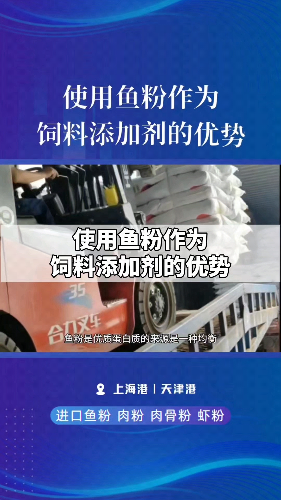 使用鱼粉作为饲料添加剂的优势