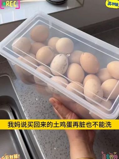 这个能装下50多个鸡蛋的保鲜盒,划下来才几块钱一个,而且带把手很方便,家里有冰箱的都需要!