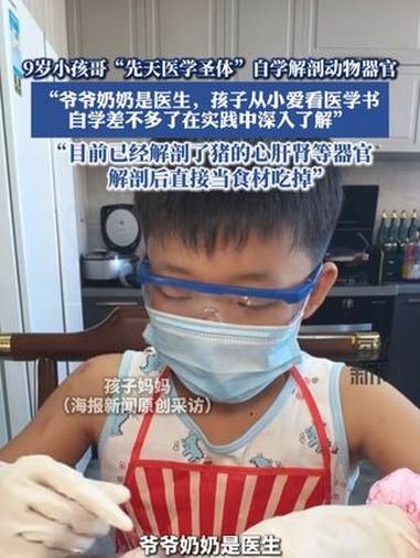 9岁小孩哥自学解剖动物器官,“目前已经解剖了猪的心、肝、肾等器官,解剖后直接当食材”(cr