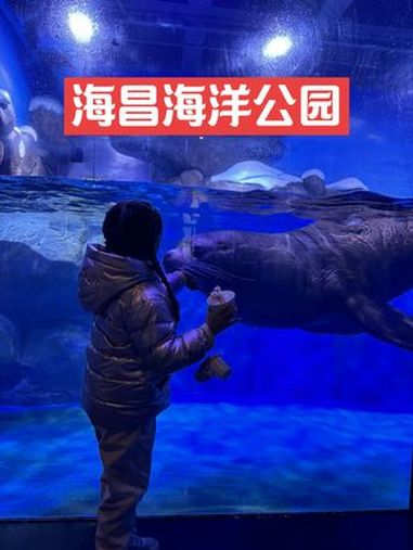 亲子打卡海昌海洋公园的海洋奇幻之旅 上海周末去哪儿 上海海昌海洋公园 海洋馆是不需要调滤镜