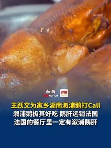 大咖说|作家王跃文为家乡湖南溆浦鹅打Call:溆浦鹅极其好吃、鹅肝远销法国,法国的餐厅里一