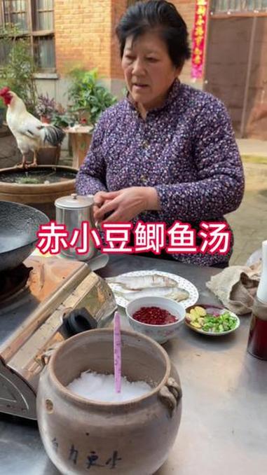 赤小豆和红豆有啥区别?赤小豆 鲫鱼汤 小院时光 守山奶奶