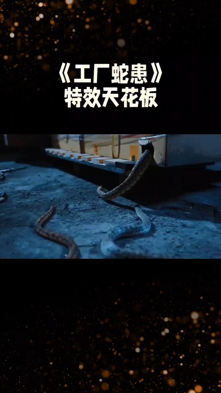 2025年网大惊悚片黑马《工厂蛇患》