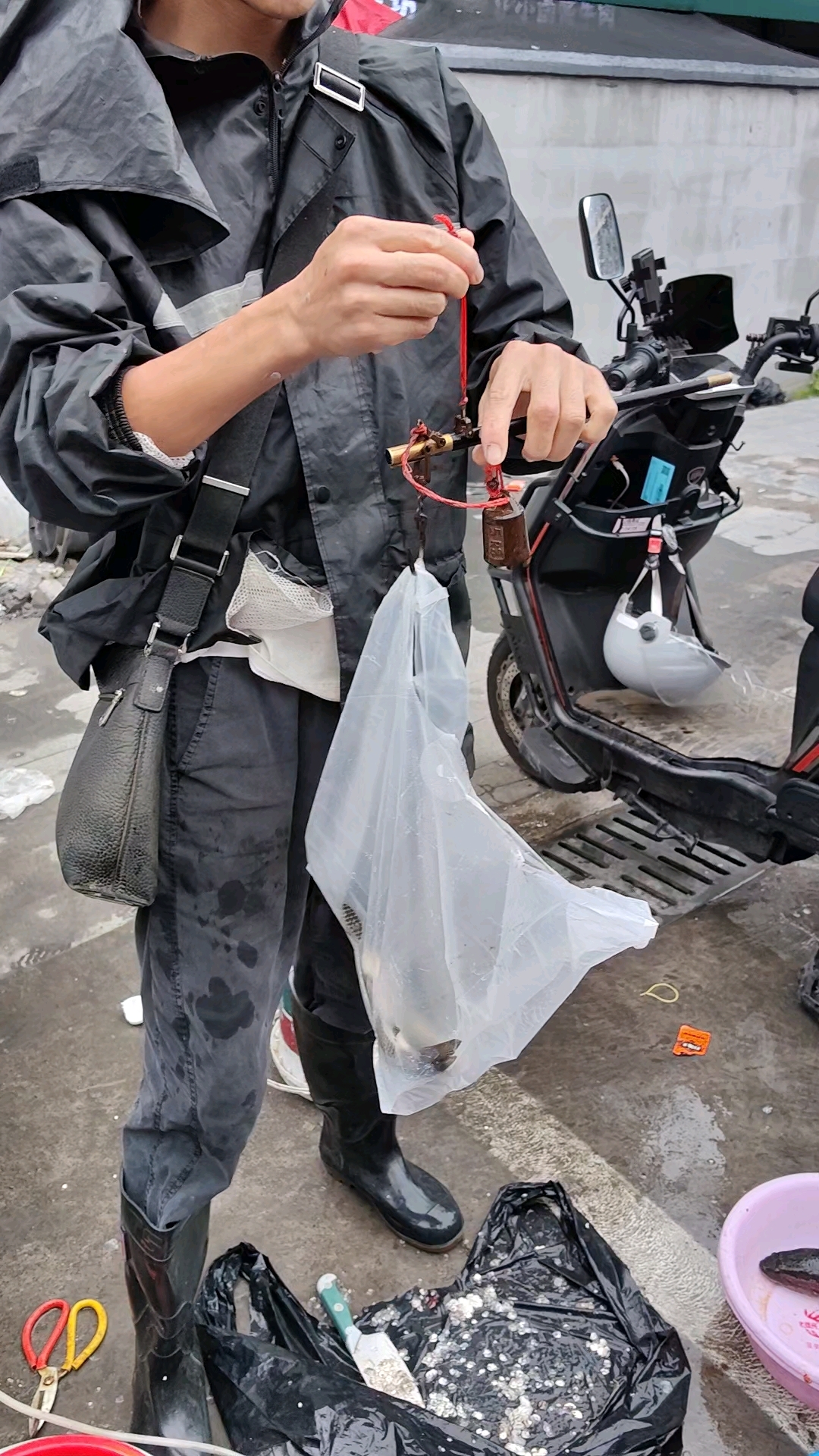 鲤鱼13一斤,3条鲤鱼8两,10块钱,炖汤不吃肉,嫌刺太多