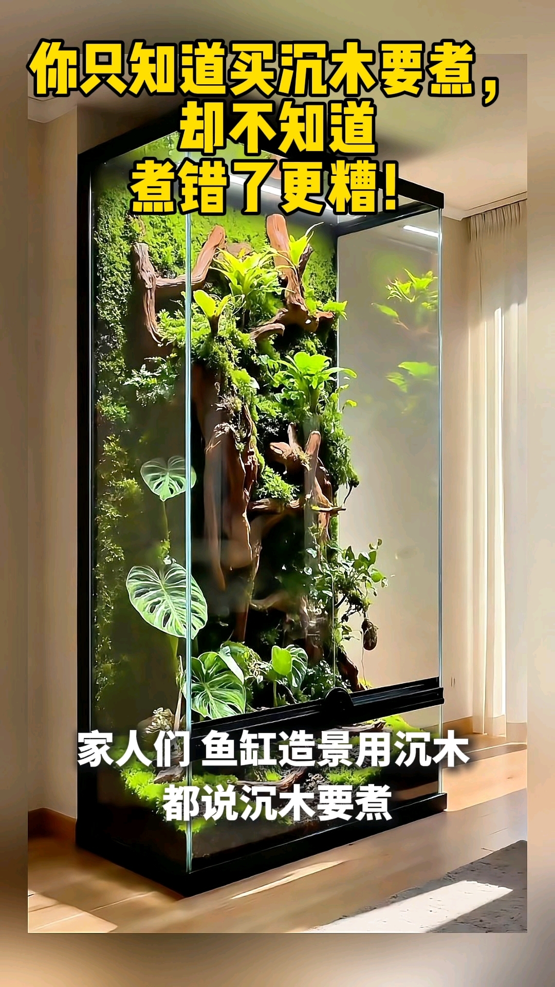 鱼缸造景沉木