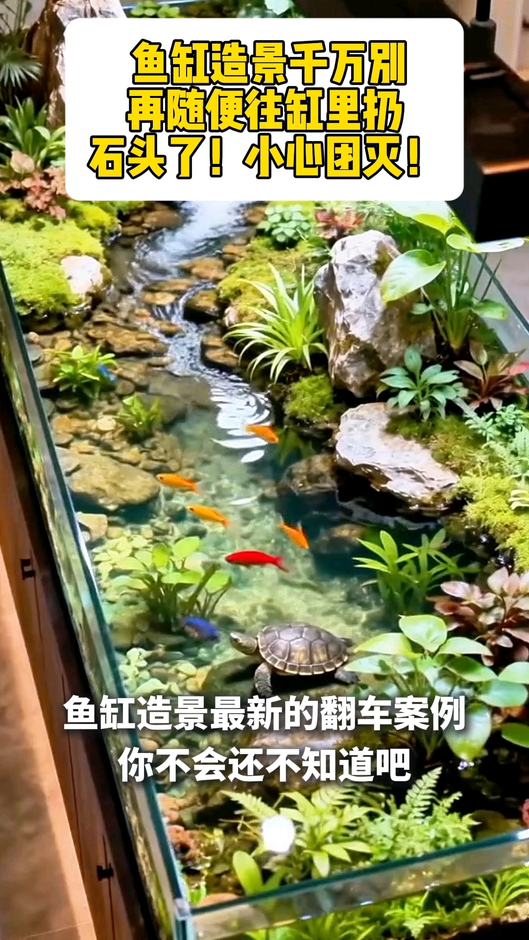鱼缸造景