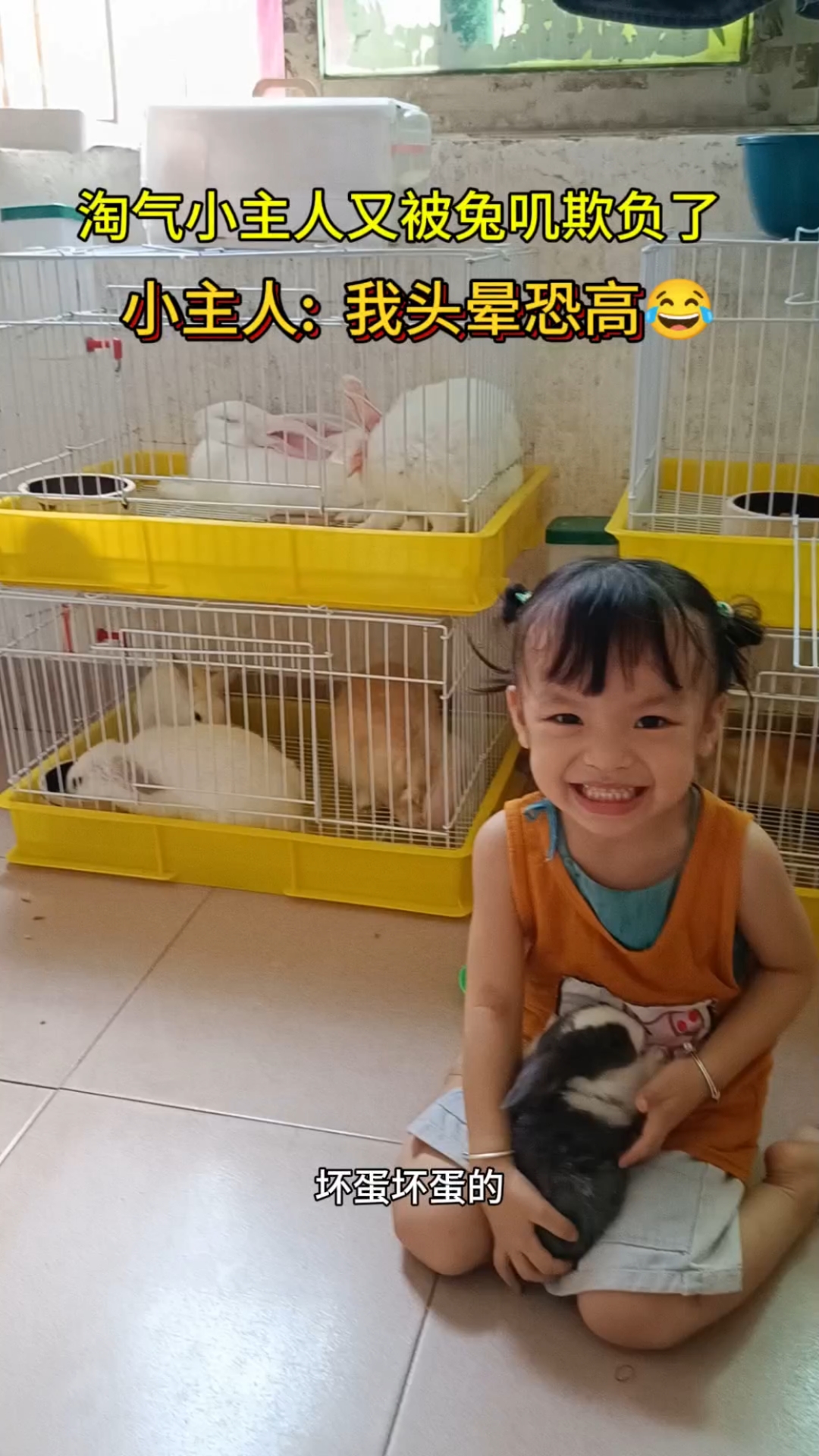 淘气小主人又被兔叽欺负了,兔小叽我头晕恐高呀