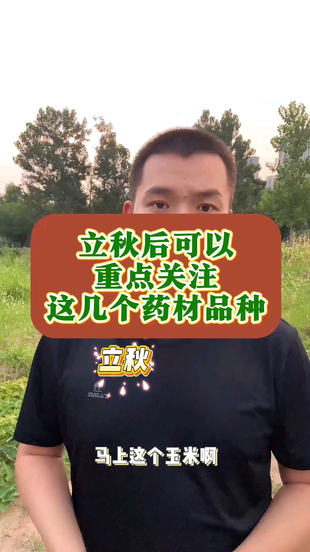 立秋后值得关注的药材品种