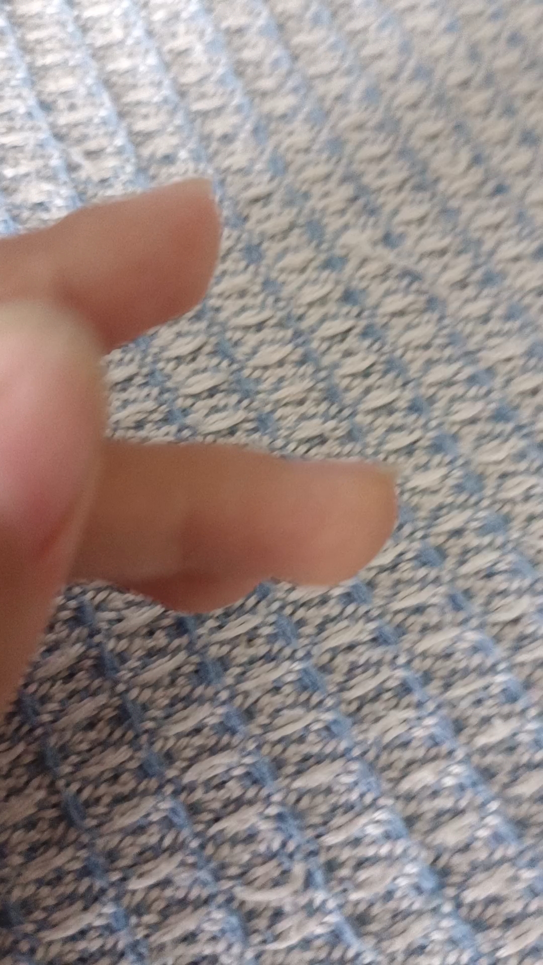 我养了一只小虾米