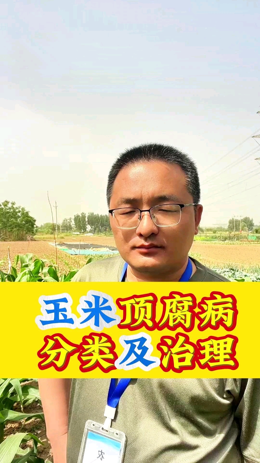 玉米顶腐病分类管理