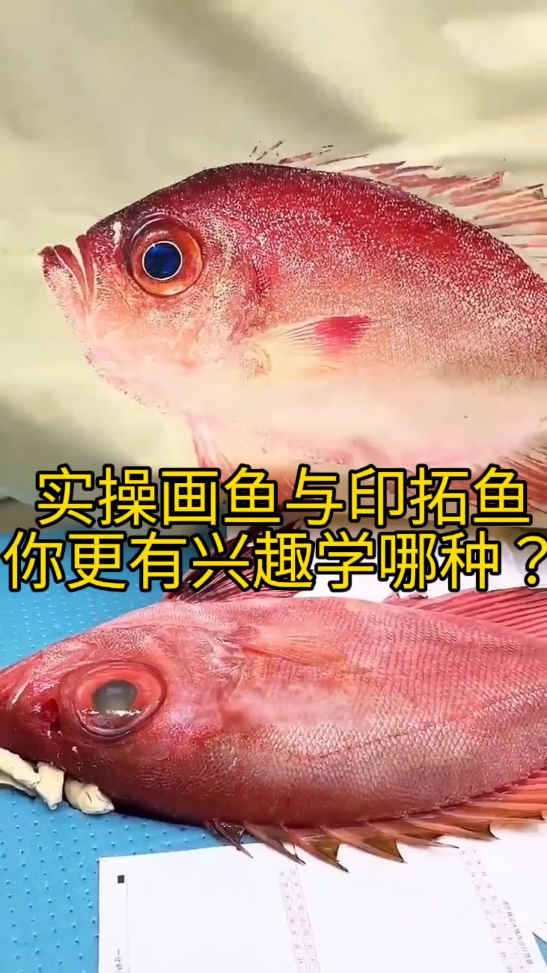 实操画鱼与印拓鱼你更有兴趣学哪种?