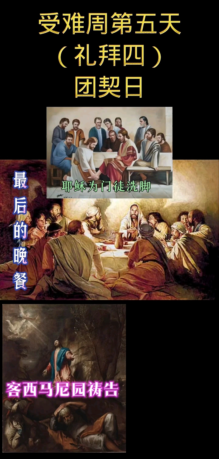 分享视频