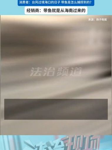 近日,江苏南京一男子在山姆超市看到9月6日从海口捕捞的冰鲜带鱼,发出质疑:“9月6日是‘摩