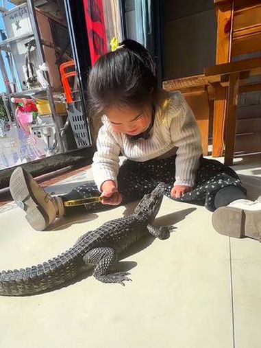 刚看了一个人拿着放大镜,对准他老婆屁股,这不她也学上了,咋整 人类幼崽有多会变脸 熊孩子的