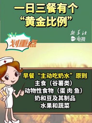 一日三餐,有个“黄金比例” 健康科普 健康 一日三餐