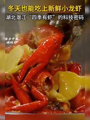 冬天也能吃上新鲜小龙虾!近日,记者随“活力中国调研行”主题采访团走进湖北省小龙虾产业技术研