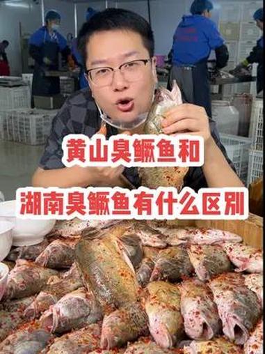 黄山臭鳜鱼和湖南臭鳜鱼到底有什么区别,看完视频您就知道该怎么选择了