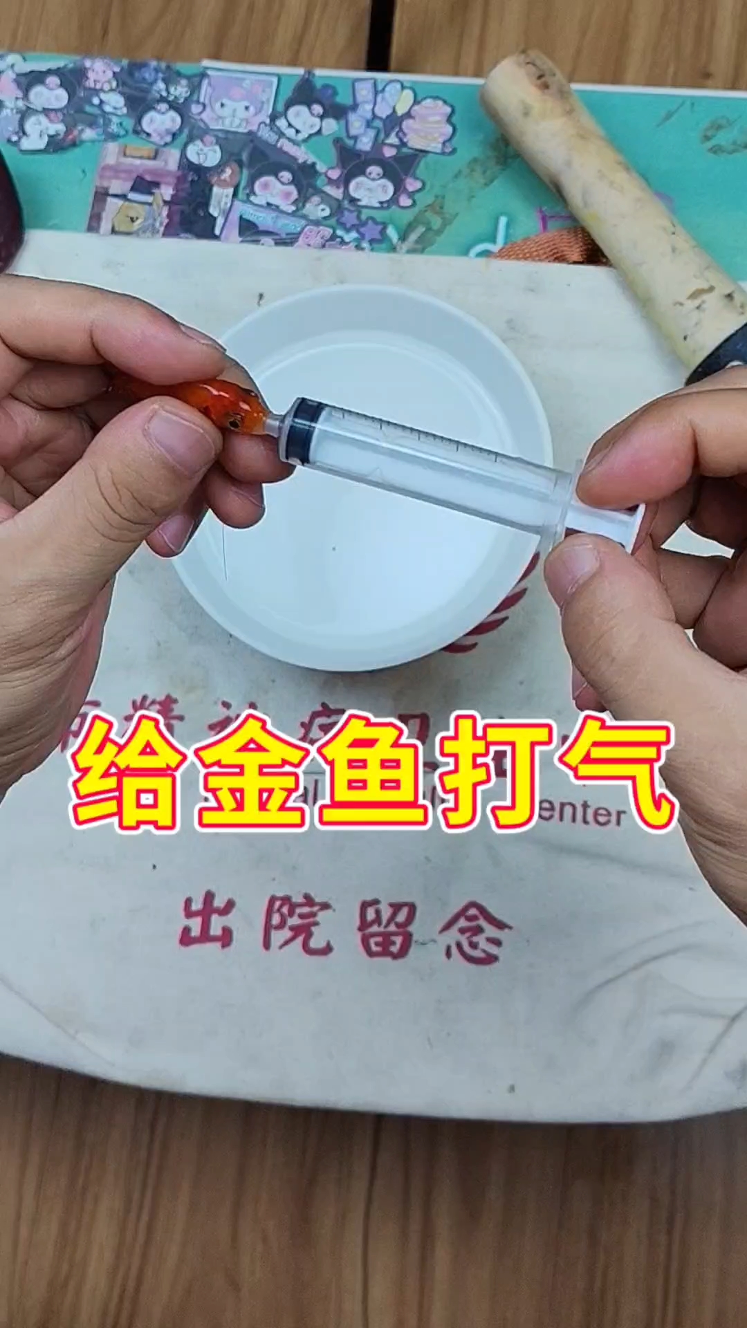 抢救小金鱼