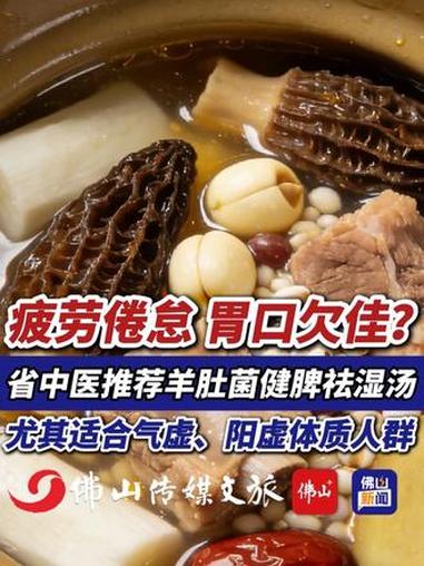 疲劳倦怠、胃口欠佳？省中医推荐羊肚菌健脾祛湿汤，尤其适合气虚、阳虚体质人群。（素材来源：广