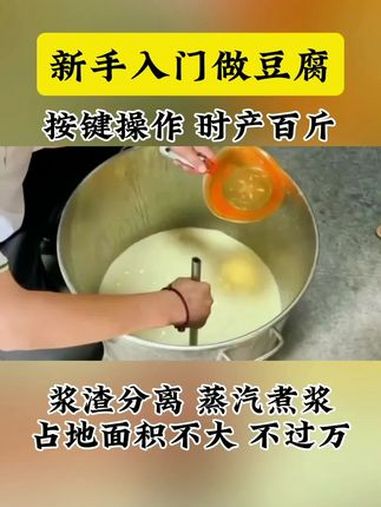 新手入门做豆腐 新手入门做豆腐,浆渣分离 蒸汽煮浆 一键启动占地面积不大 豆腐机 做豆腐的