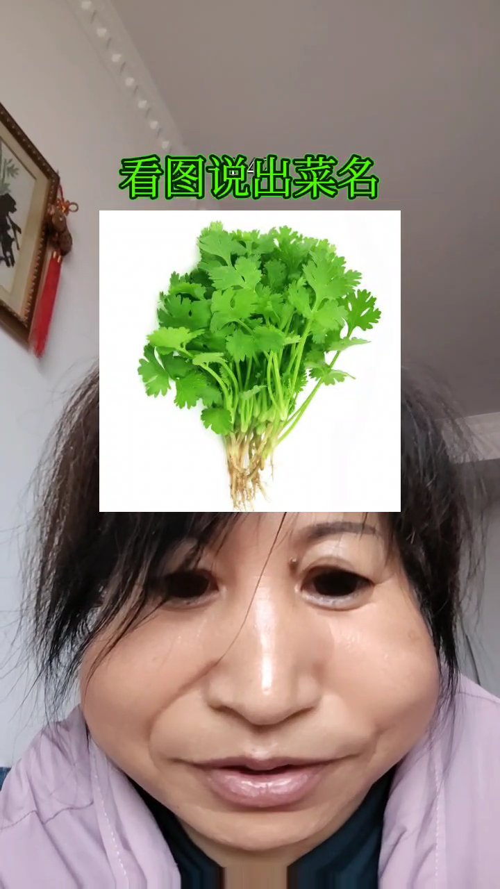 绿叶菜大集合,你能猜中几种?
