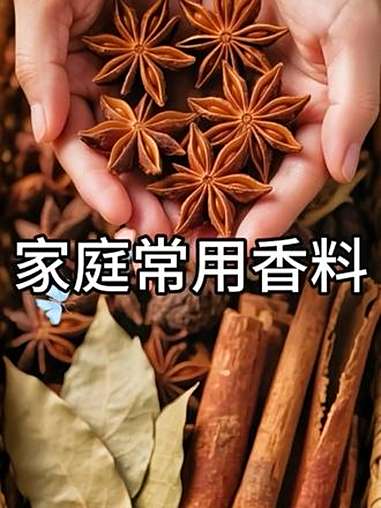 家庭常用香料炒菜去腥去味调料大料 调料 香料 调味料 厨房好物 做饭小技巧