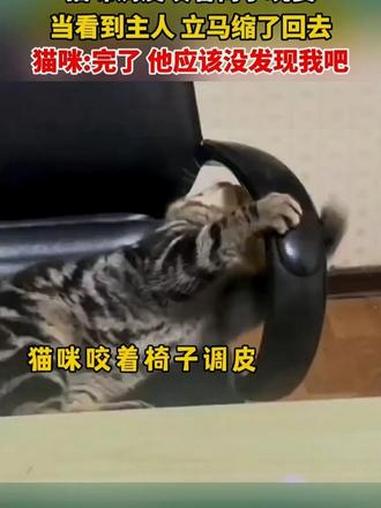 东北油豆角一点红，软糯无筋，开锅就烂，炖排 骨，炖土豆，嘎嘎好吃#油豆角 #东北特产 #优