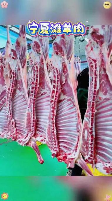 宁羴源宁夏滩羊肉-半只羊新鲜精修牧场直发生鲜牛羊肉 宁羴源宁夏滩羊肉 半只羊 牧场直发 生