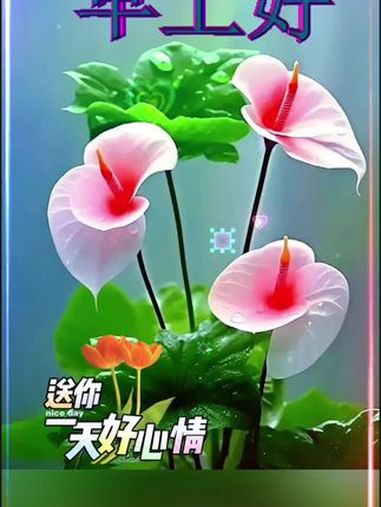 早上好暖心问候最在乎的人 早安心语