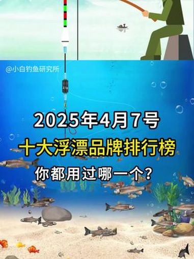 十大浮漂品牌排行榜,你用的是哪一款呢?野钓 钓鱼人 钓鱼知识 浮漂 入海流浮漂