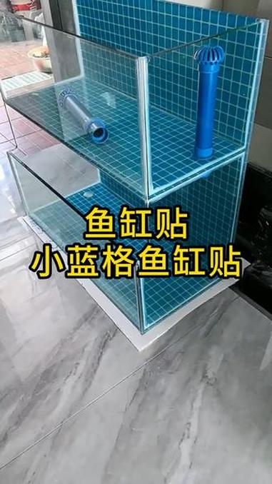 给你的鱼儿一个梦幻海底世界!想要养好观赏鱼?这一步必不可少!快来看看如何铺底吧~ 水族 鱼