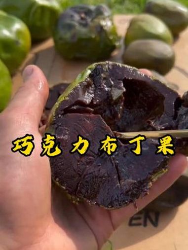 为什么国外一些水果能被炒到天价?科普 涨知识 内容启发搜索 巧克力布丁果