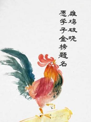 雄鸡破晓 愿学子金榜题名#插画视频#插画视频
